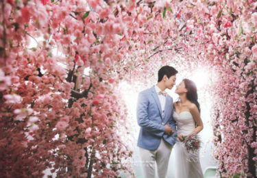 【桜特集】本物？！全て桜の撮影セットです♡1年中撮影OK♡