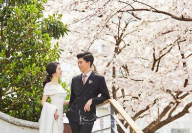 【撮影レポート】4月は釜山も桜の季節です♡桜フォトウェディングはいかがでしょうか？(Studio Vert)