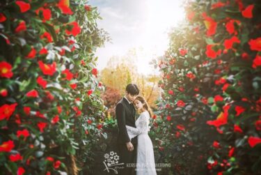 【サンプル紹介】作りこまれた華やかな世界観がお好きなら♡ MAY Studioのサンプル写真をご紹介(MAY Studio)