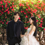 バラの背景　新郎新婦